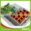 Customer's Size Commercial Bungee Jumping Trampoline Park Kids Soft Indoor Playground Trampoline Park                        
                                                Quality Choice
