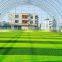 Two-tone 50mm or 60mm cheaper artificial turf soccer for field