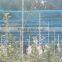 Agricultural Bird Netting in any color