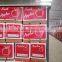High grade qinguan apples