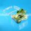 PET plastic transparent VEGETABLE AND FRUIT packaging box with lid