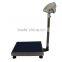 Blue Stainless Steel Platform Cattle Scale