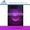 New Type Led Lighting Belvedere Vodka Bottle Ice Bucket Wholesale