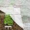 Agricultural/Garden use PP spunbonded nonwoven fabric