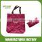 Easy Carry-on Foldable Shopping Bag