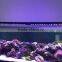 AQL Light 250w 4ft marine aquarium led lights for sale