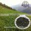 New Fresh Chinese Tiekuanyin Tea Oolong Tea Wholesale