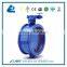 Tianjin Manufacturer Flanged Hard Sealing Butterfly Valve