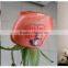 Flower printers with PC Touch screen Display Smart Operation