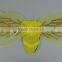 Wholesale bee animal wings Halloween party headband wing suit