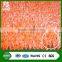 Paddle Tennis Court artificial grass of sports / special wholesale