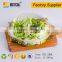 Transparent take away plastic salad box with lid