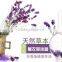 F2-003 Perfume Cuticare oil .nail care system