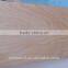 18mm chinese okume plywood prices at wholesale price