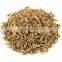 99.95% Purity Cumin Seeds - Cumin Europe Quality