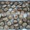 Mushroom Whole With Cheaper Price