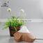 Best Selling Electric Essential Oil Diffuser Smart Aromatherapy Essential Oil Diffuser