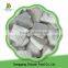 Hot Sale Frozen fresh King Oyster Mushrooms