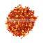 High Quality Crushed Paprika Exporter