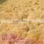 Provided Shredding Machine Wood Wool Machine For Woodworking