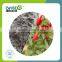 Lvkee Feed additive Grade Bacillus Laterosporus for livestock and poultry