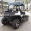 2WD Small ATV Dune Buggy With Displacement 200cc