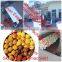 hot sale corn extruder machine
