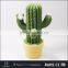 table night light LED mini indoor light prop cactus tree shaped lamp