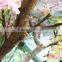 cherry flower tree man made sakura plant tree