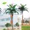 Tree outdoor decorative artificial tree palm tree for Park Landscaping Decking APM017-2 GNW 15ft High