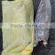 Frozen oilfish