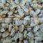 Frozen Cooked Clam Meat in Shellfish of good quality with available price