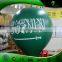 Huge Green Inflatable Helium Balloon Custom Shape Inflatable LED Lighting Air Balls Parade Product