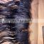 Grade 9a virgin hair brazilian human hair pre plucked lace frontals with baby hair