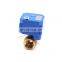 3v 5v 6v 12v 24v 110v 220v DN15 DN20 DN25 CWX-25S 2 way brass ss304 mini electric 2 way motorized valve