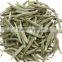White silver needle White tea White Pekoe Silver Needle