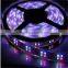 Factory price 12V-24V Waterproof LED Strip Light Single Color,Warm White Cool White, RGB silicone tube for led strip 10mm
