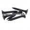 Chinese Drywall Screw Roofing Nail Twist Nails Self Drilling Drywall Screw Black Surface Treatment