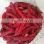 Good taste Frozen Jinta  Chill IQF Chilli