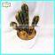 20cm hot sale artificial cactus home decor