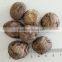 Smooth Shiitake Mushroom 1KG