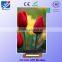 TN type 3.5 inch tft small size lcd monitor 16 Parallel CPU interface
