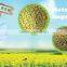 Highly Refined Honey Bee Pollen