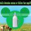 WJ515-A Feeding Bottle with bovine calf fine animal veterinary bottle