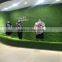 Indoor decoration use landscaping synthetic grass