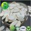 Snow White Pumpkin Seeds From Heilongjiang Province
