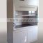 All steel Chemical ceiling mounted fume hood