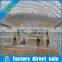 Multi-Span agricultural greenhouses,galvanized steel greenhouse type and single layer arch pipes greenhouse
