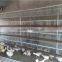Factory Wholesale Chicken Layer Cage And Cage For Transport Of Chicken