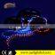 300smd side emitting 335 led strip light RGB addressable heat resistant switchback flexible led strips lights 12v waterproof